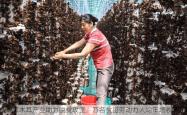 延寿黑木耳产业助力脱贫攻坚，万名贫困劳动力人均年增收2万元